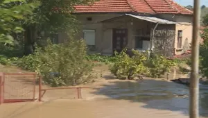 Хайде пак: 
