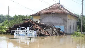 Апокалипсис и за бизнеса в Мизия