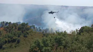 Колко ни струва гасенето на горски пожари