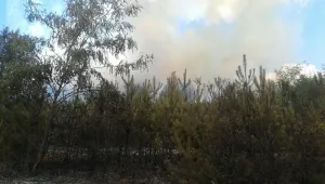 Цяла нощ гасиха пожара край Брезник