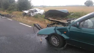 Войната на пътя струва скъпо – на всички (ОБЗОР)