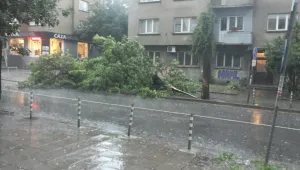 Краткотрайна буря събори дървета и наводни улици в София (ВИДЕО И СНИМКИ)