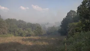 Локализиран е пожарът в Хасковско близо до границата с Турция 