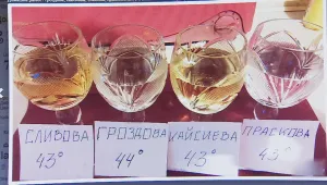 Смятате ли за сигурно да си купувате алкохол извън магазина?