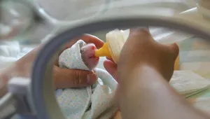 Бебе панда, заченато по естествен път, се роди в зоопарк