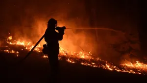Огромни пожари бушуват в Португалия и САЩ