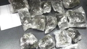 Семейство с две деца опита да внесе контрабандно близо 3 кг марихуана