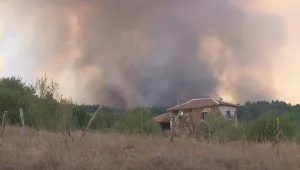 Трима души са задържани за горския пожар край Тополовград