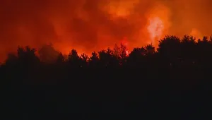 Нов горски пожар избухна в Гълъбово, обявиха бедствено положение