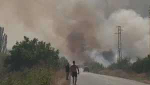 Продължава битката с големите пожари в Бургаско и Пловдивско
