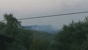 Овладени са пожарите край Бургас и Монтана