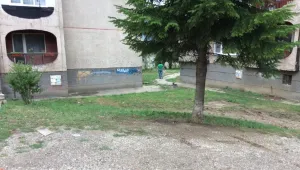 Откриха труп на новородено в Перник