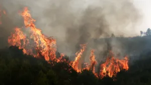 Два горски пожара избухнаха край Атина (ВИДЕО)