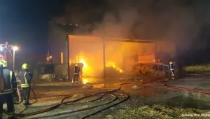 Пожарникари изядоха прасенца, след като ги спасиха от пожар