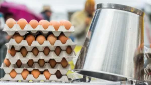 Няма данни за яйца, заразени с фипронил, на българския пазар