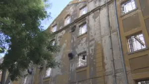 Каква е съдбата на пловдивските тютюневи складове след опожаряването им?