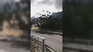 Кално свлачище затрупа път в Швейцария (ВИДЕО)