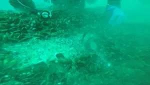 Поне 100 тона е мазутът в потъналия преди век кораб край Созопол