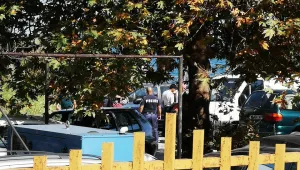 Задържаха 14 нелегални имигранти в района на Приморско 