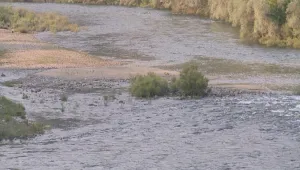 Пожарникари спасиха осем души от остров край р. Арда