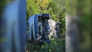 Коне на главния път за Кулата предизвикаха катастрофа 