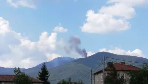 Пожар горя в местността 