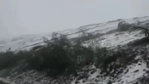 Сняг заваля в Магаданска област (ВИДЕО)