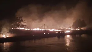 Огромен пожар пламна край пловдивското село Кадиево