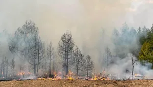 Опасност от пожари в 16 области в страната 