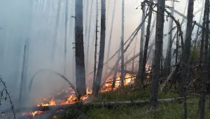Пожарът в Югово частично е изгасен
