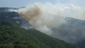 11 дни продължава гасенето на пожара над Югово