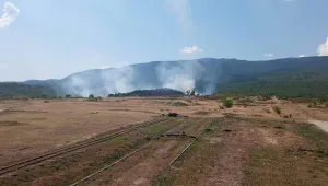 Пожар край пазарджишкото село Црънча