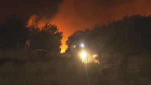 Пожарът в Бургаско: Две нови огнища са се възпламенили в гората край село Изворище