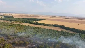 Потушен е горският пожар в землището на село Бабек (СНИМКИ)