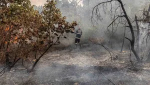 Голям пожар в Свиленградско