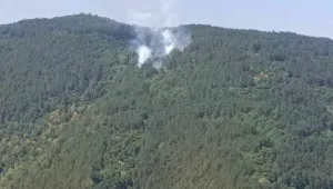 Пожарът край връх Баба е овладян