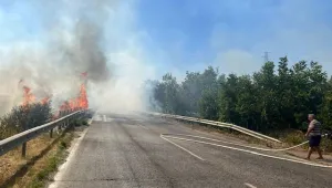 Голям пожар гори между Плевен и Русе (ОБНОВЕНА)