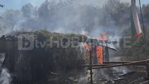 Пожар в село Джулюница, обхванал е дворовете на четири къщи (СНИМКИ)