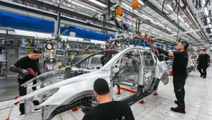 Драма с новата фабрика на „Тесла“ край Берлин – изсечени са близо 500 000 дървета