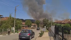 Пожар в гората във видинското с. Гюргич (ВИДИН)