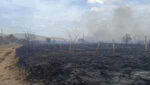 Два пожара пламнаха край Стара Загора