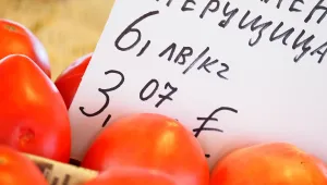 Кой е на сметка: Купувачи срещу продавачи - в полза на кого е превалутирането на цените?