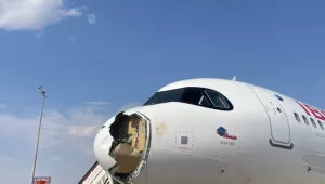 Лешояд проби дупка в самолет, а след това влезе в двигателя (ВИДЕО) 