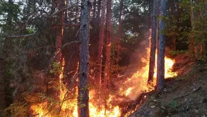 18-годишен подпали пожар в Безмер заради неуредени финансови взаимоотношения