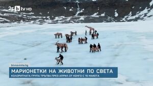 bTV Новините - Сутрешна емисия - 08.08.2025	