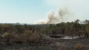 Пожарът в района на село Скала е овладян