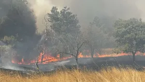 Пожарът в Българово е загасен, най-малко 15 вили са изгорели
