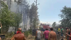 Има задържан за пожара във вилната зона на Българово