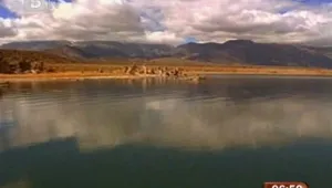 Учени от НАСА откриха нова форма на живот
