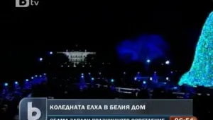 Коледната елха в Белия дом засия